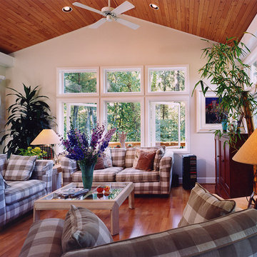 Urban Tree House