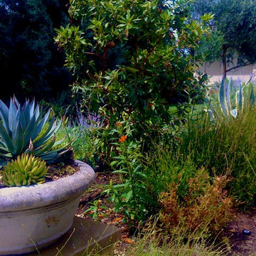 Davenport Ranch