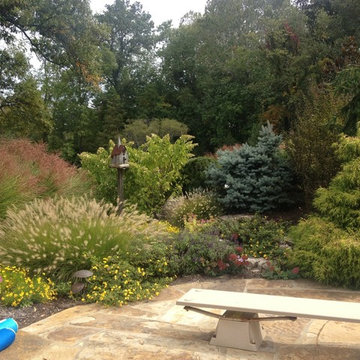 Lush Landscapes