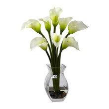 Flowers and Plants