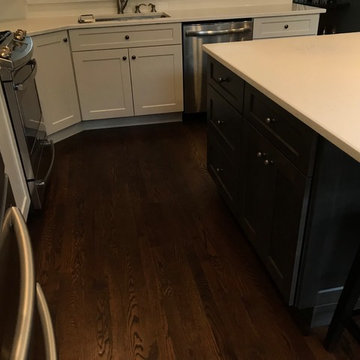 Chicago South Loop Kitchen Remodel