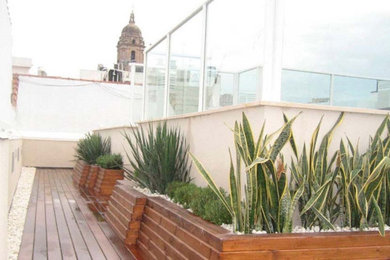 Imagen de terraza moderna de tamaño medio sin cubierta en azotea con jardín de macetas
