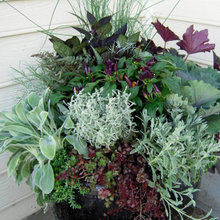 Fall Containers