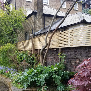 St Johns Wood Back Garden