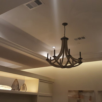 Lutron Wireless System