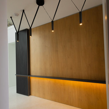 Modern Architectural Millwork Feature Wall & Stair Paneling