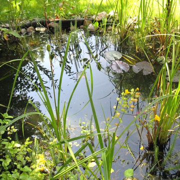 Garteneisenbahn, Kräuterspirale und kleiner Teich