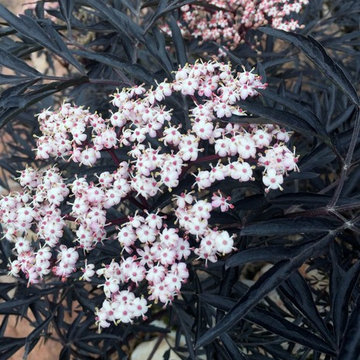 SW Idaho