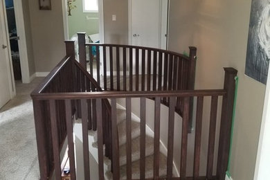 Transitional carpeted curved wood railing staircase photo in Other with carpeted risers