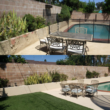 Backyard clean up and remodel