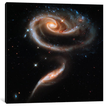 "A "Rose" Made Of Galaxies" Wrapped Canvas Print, 12x12x1.5