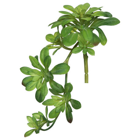 Vickerman 11" Aeonium Spray, Green, Set of 3