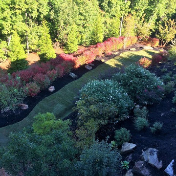 The Crane at Paris Mountain