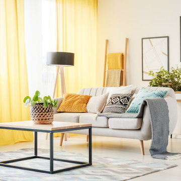 Living Room Projects
