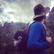 Bobby Gold's photo