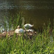 Foto de Mette Hansen