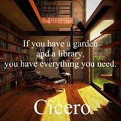 Andrew Lawrence's photo