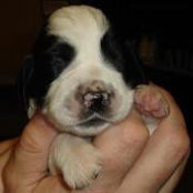 Twyla McCheane's photo