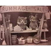 Maureen Kowalski's photo