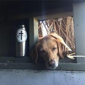 Mike Vose's photo