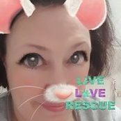 Foto von Paula Bee