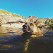 Drew Murphy's photo