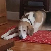 Sarah Bell's photo