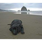 Chris Pokorny's photo