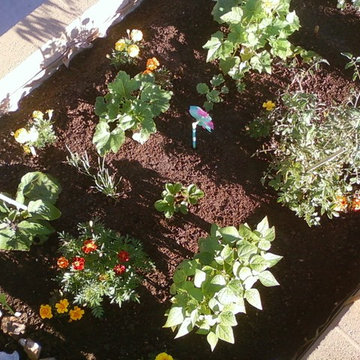 Concrete Block Raised Vegetable & Flower Garden