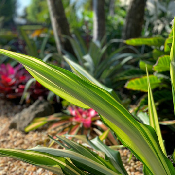 Tropical appeal for equestrian farm entrance