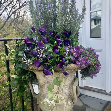 Rosemary and Pansy Container Garden
