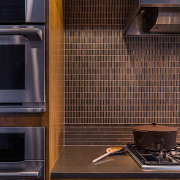 Mid Century Modern Remodel