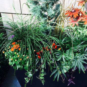 Fall Container Garden