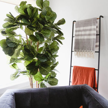 Our Houzz: Bright, Breezy Living Room Caps a Hectic Renovation