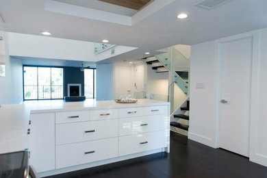Trendy kitchen photo in Dallas
