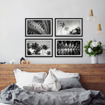 Palm Trees Quadriptych
