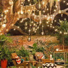 Backyard✨