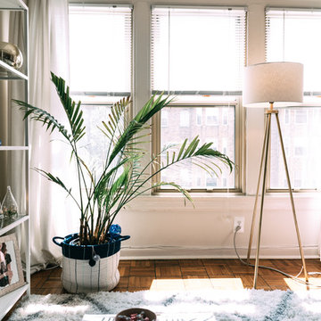 My Houzz: A Sunlit 525-Square-Foot Studio in Downtown D.C.