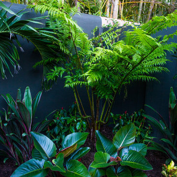 Secluded Tropical Courtyard