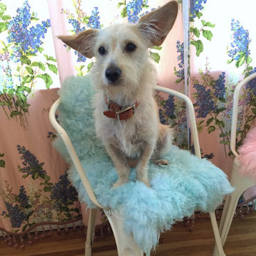 Curtains and Chair Pads for You - Colors, Styles, Trims to Compliment Your Decor