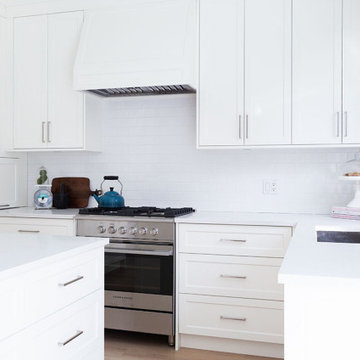 White Rock Kitchen Upgrade: Quartz Countertops (C5126) & Sink