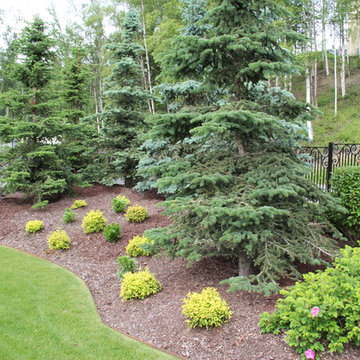 Lawn and Landscape