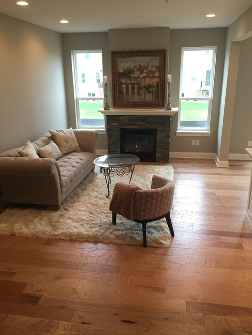 New house need living room decorating ideas!