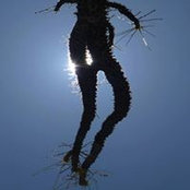 Linda Scott's photo