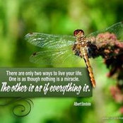 Jacqueline Matlo's photo