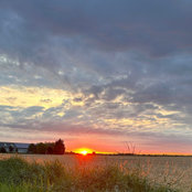 Graham Arnott's photo