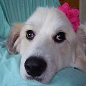Russ Kawecki's photo