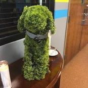Amy McCalman's photo