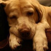 Ralph Laird's photo