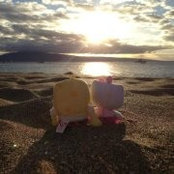 Misty LaFave's photo